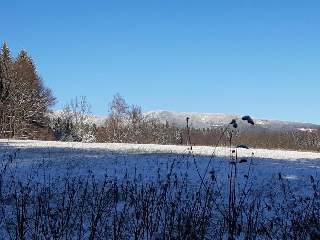 Příroda nedaleko apartmánu