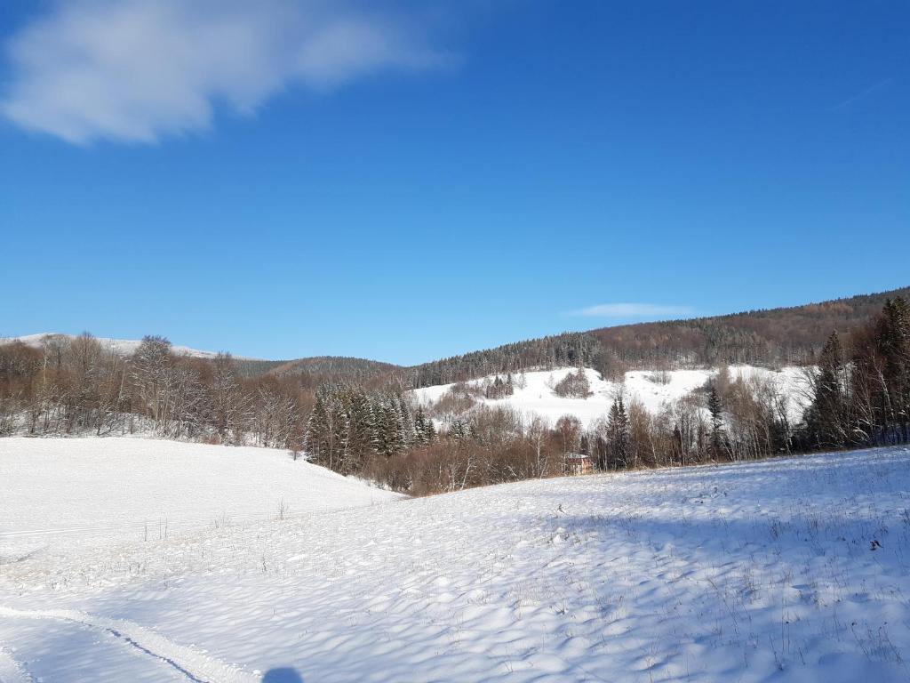 Apartmán Horní Lipová č. 3 v zimě