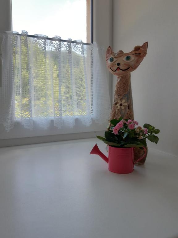 Fotografie z fotogalerie ubytování Apartmán Horní Lipová č. 3 v Lipové-lázních