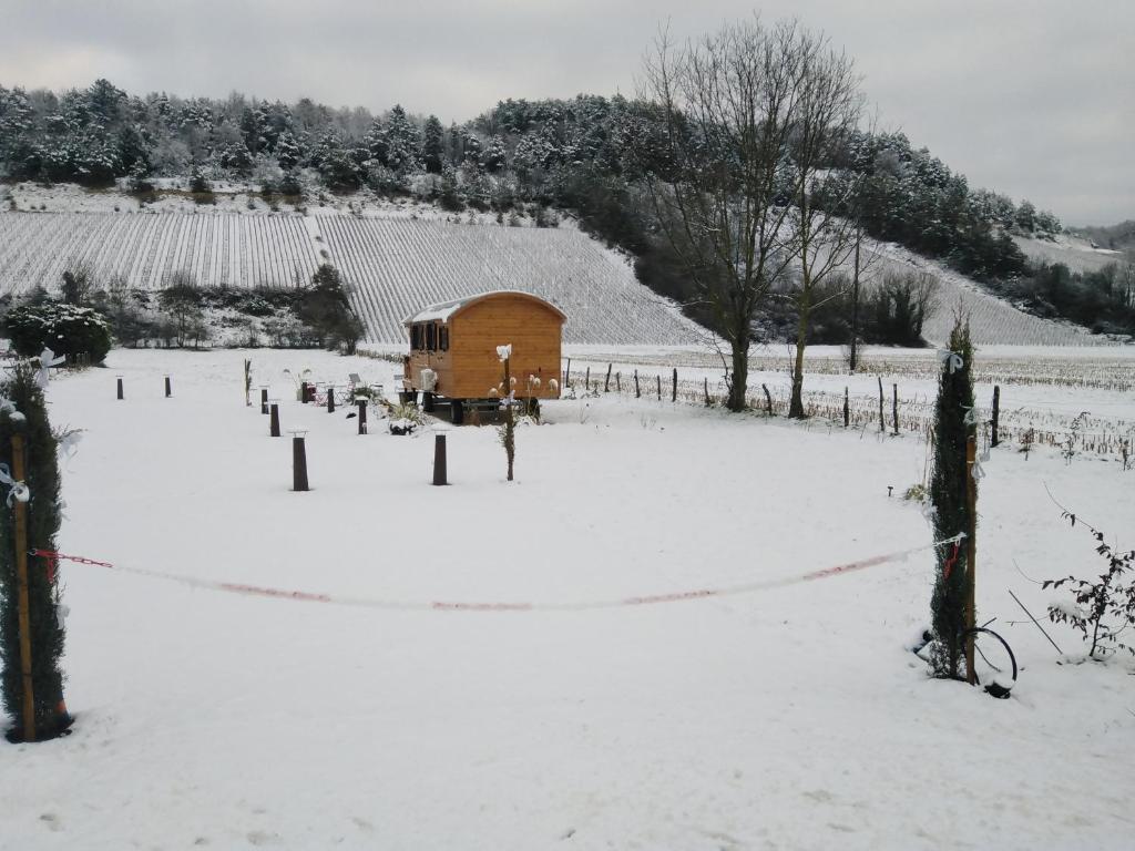 l'échappée belle en Champagne v zimě
