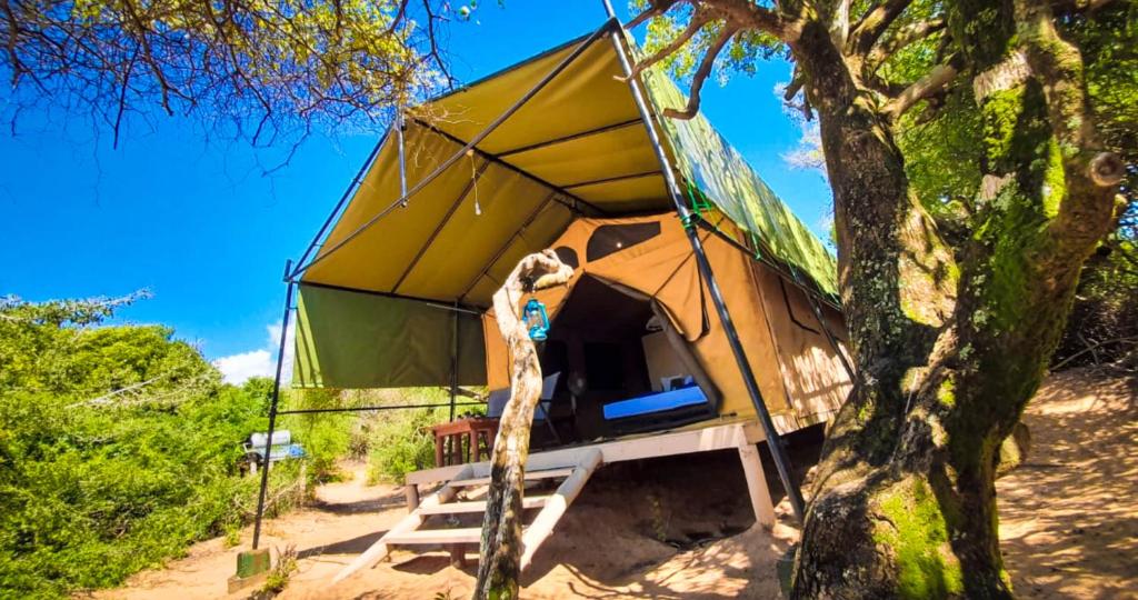 Fotografie z fotogalerie ubytování Back of Beyond Dune Camp Yala v destinaci Yala