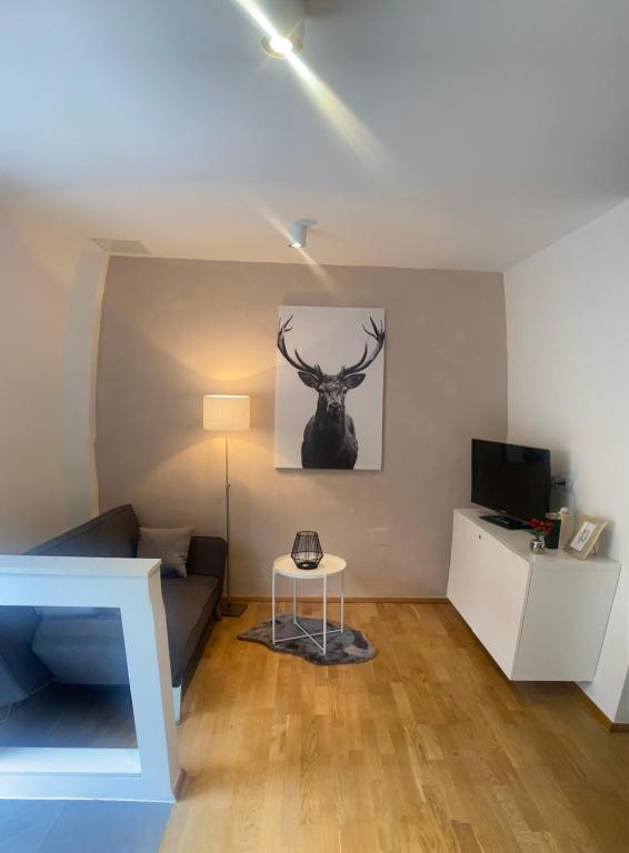 a living room with a couch and a table at Appartement in Graz-Geidorf in Graz