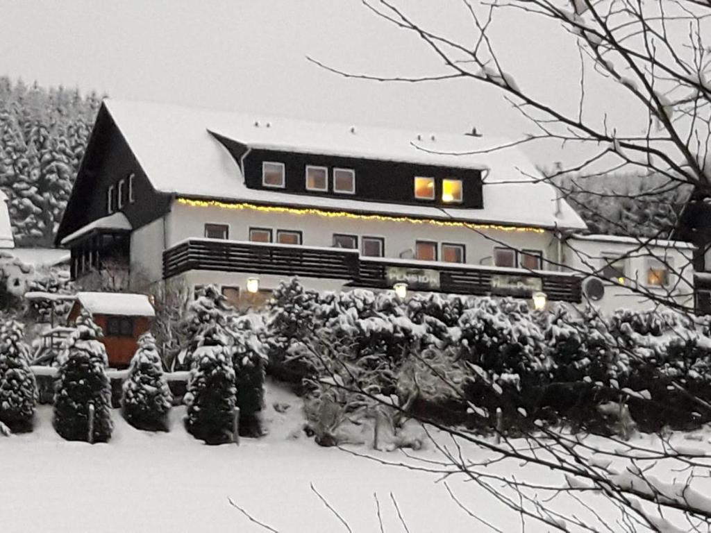 Fotografie z fotogalerie ubytování Pension Sauerland v destinaci Winterberg