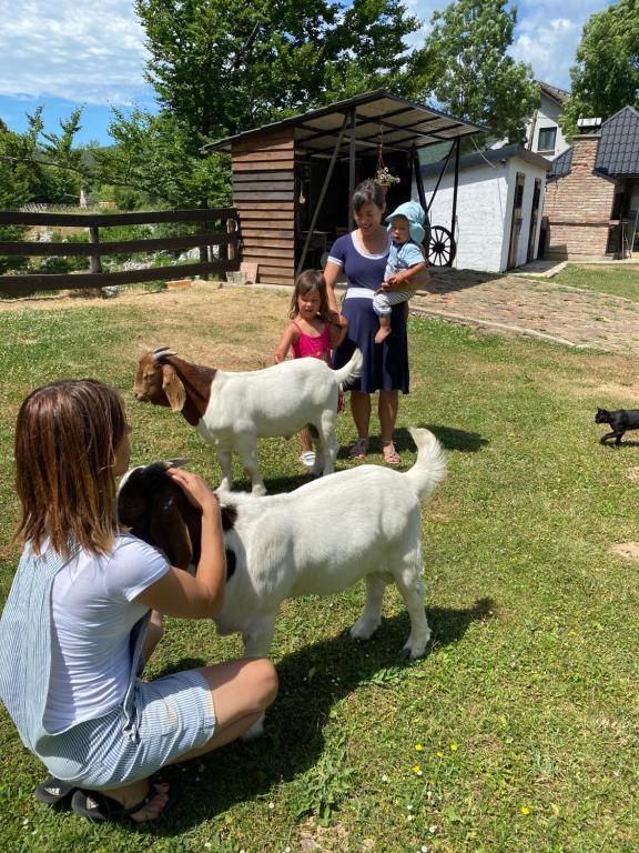 Antemurale - Luxury rooms,Plitvice Lakes - 2
