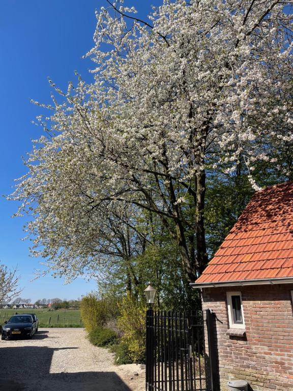 een boom met witte bloemen naast een bakstenen gebouw bij B&B Driel in Driel