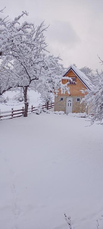 Vikendica Raković during the winter