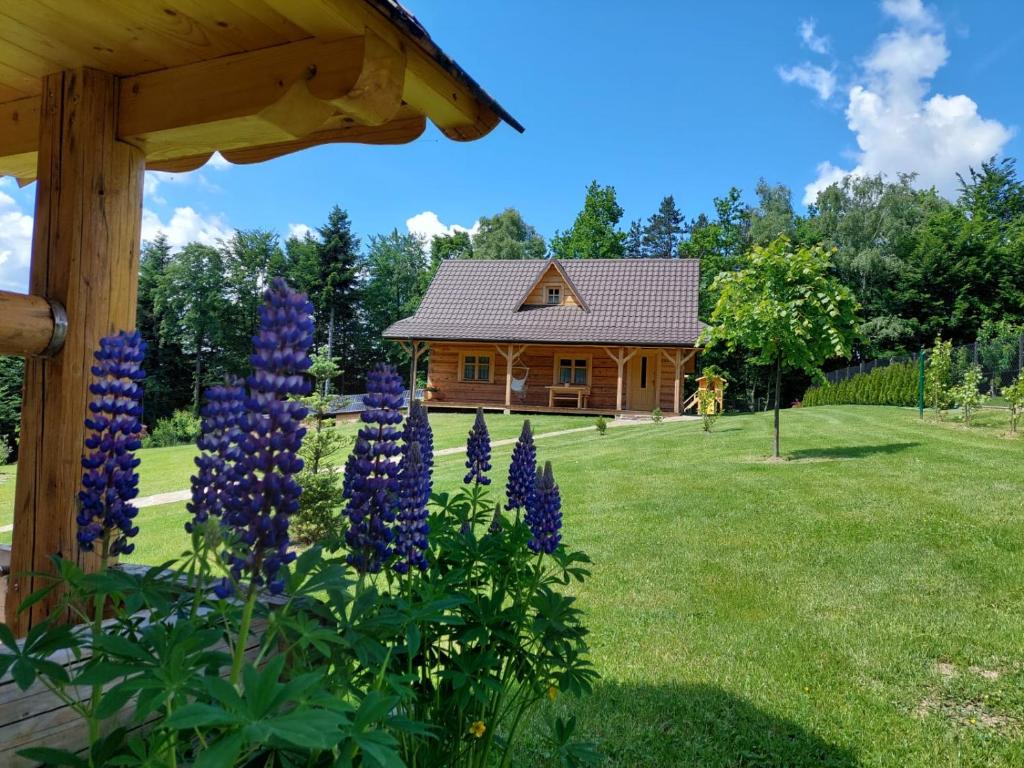 a house with purple flowers in front of a yard at Domek u Heli in Limanowa