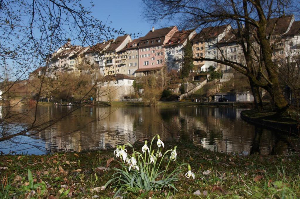 un edificio su una collina vicino a un corpo d'acqua di Bett am Weiher a Wil