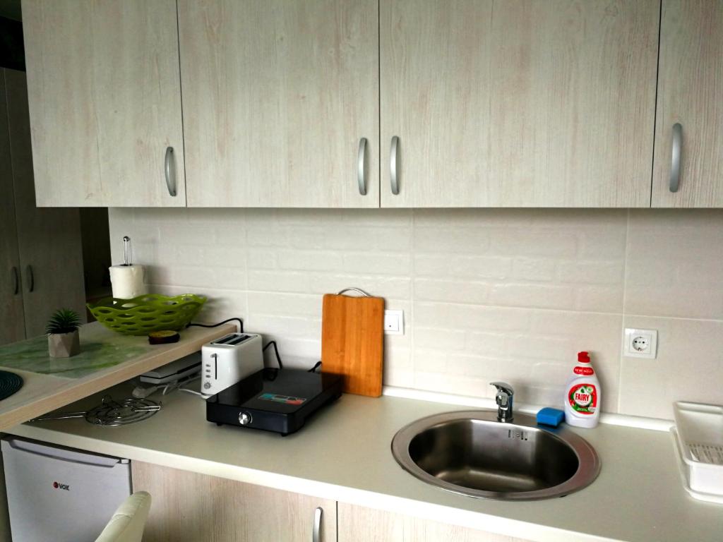 Kuchyň nebo kuchyňský kout v ubytování Apartman NINA Jezero