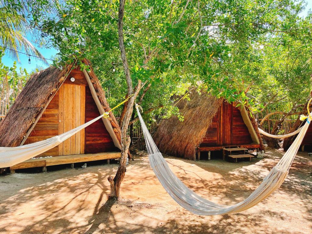 La Aldea Holbox Cabañas y Camping في جزيرة هول بوكس: كوخين مع أراجيح في الأشجار
