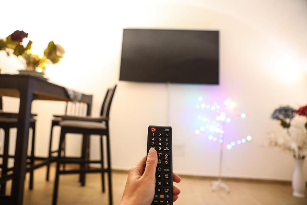 Televízia a/alebo spoločenská miestnosť v ubytovaní Domus Ursino Comfort