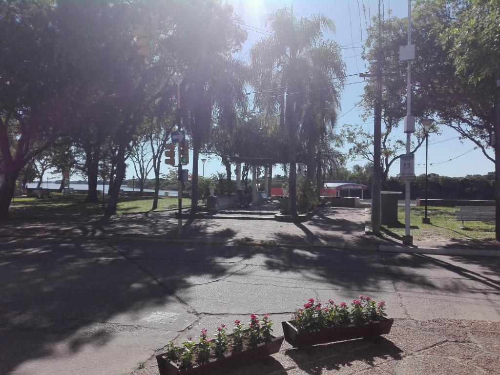 Paseo Camila