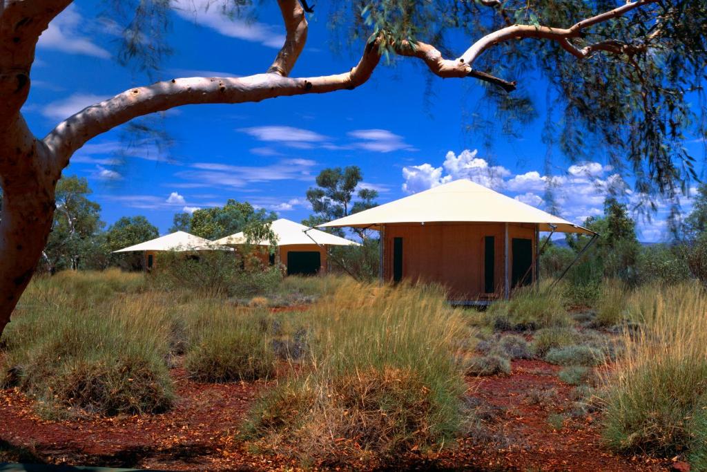 Karijini Eco Retreat في Karijini: عبارة عن كوخين في حقل مع شجرة