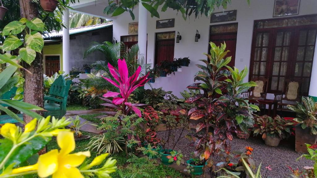 Zahrada ubytování Mango Villa Sigiriya