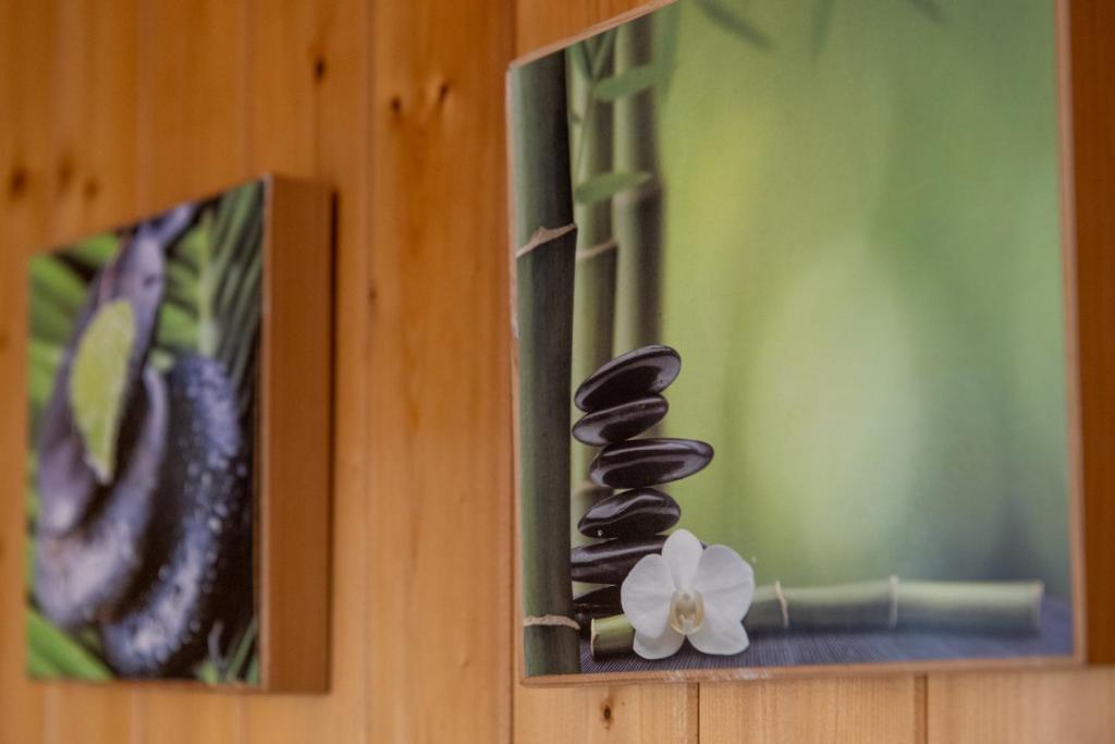 Fotografie z fotogalerie ubytování Chalet Sunnegga v destinaci Fiesch