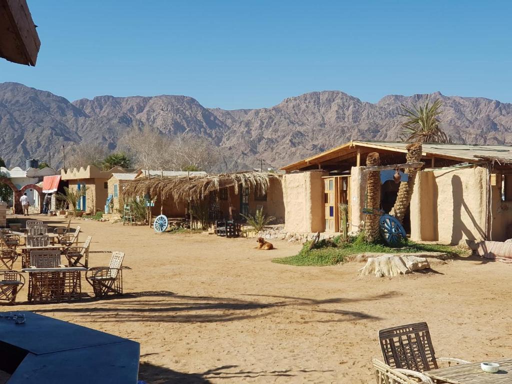 Photo de la galerie de l'établissement Habiba Beach Lodge, à Nuweiba