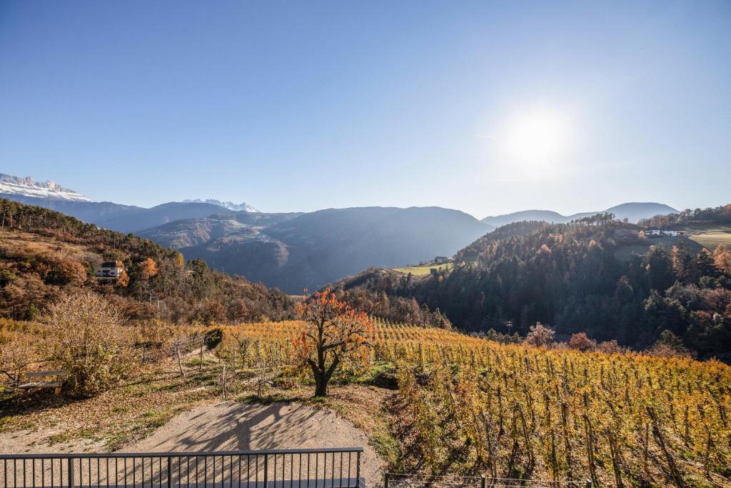 Príroda v okolí apartmánu