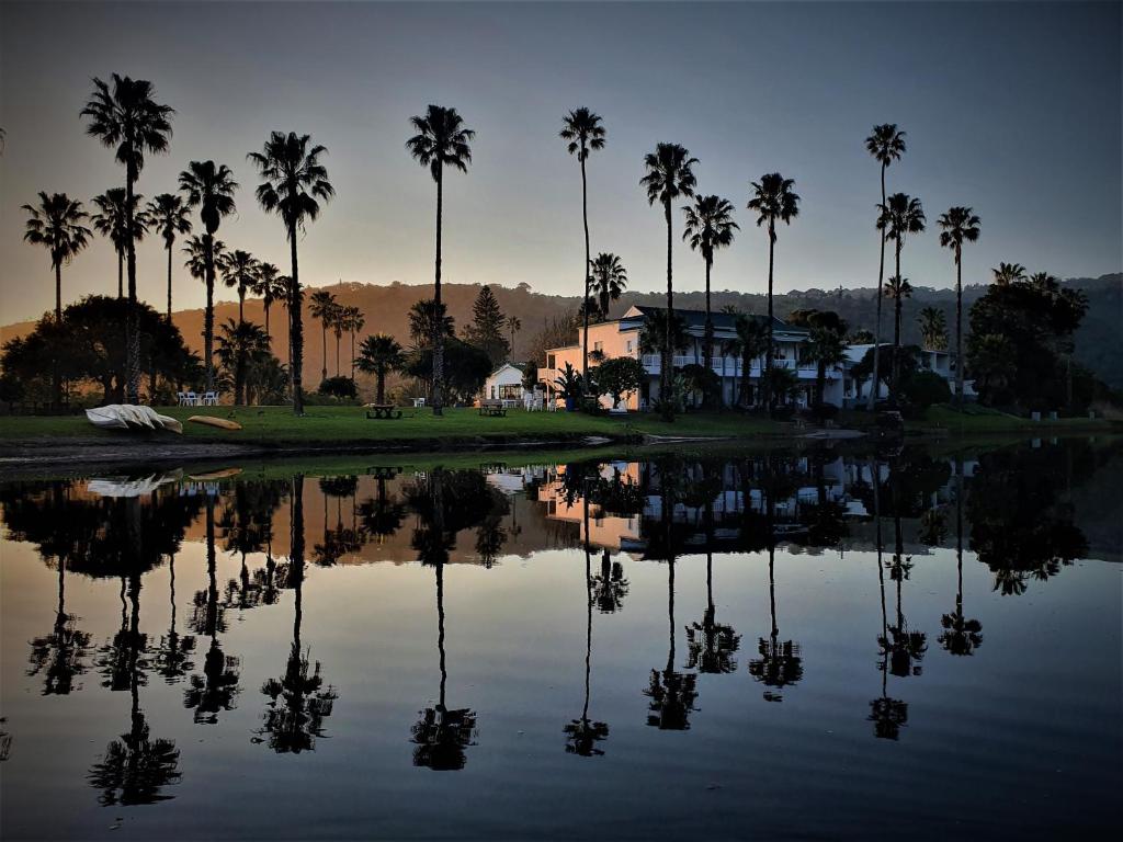 a group of palm trees sitting next to a body of water at Fairy Knowe Hotel in Wilderness