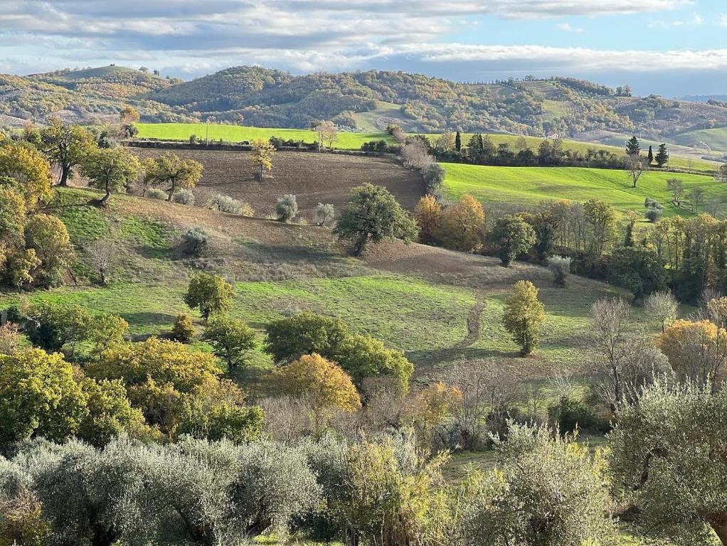 a green field with trees and hills in the background at Casale Terre Rosse in Saturnia