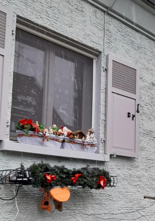 Gîte les chiwawas d'Alsace – photo 11