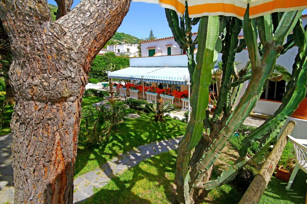 Vonkajšia záhrada v ubytovaní Hotel Park Calitto
