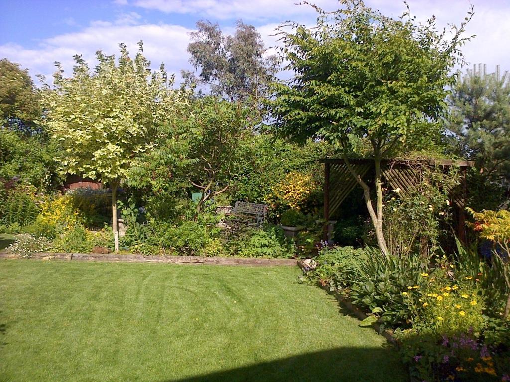 a garden with a green lawn and a tree at Pinetree Lodge Druridge Bay in Amble