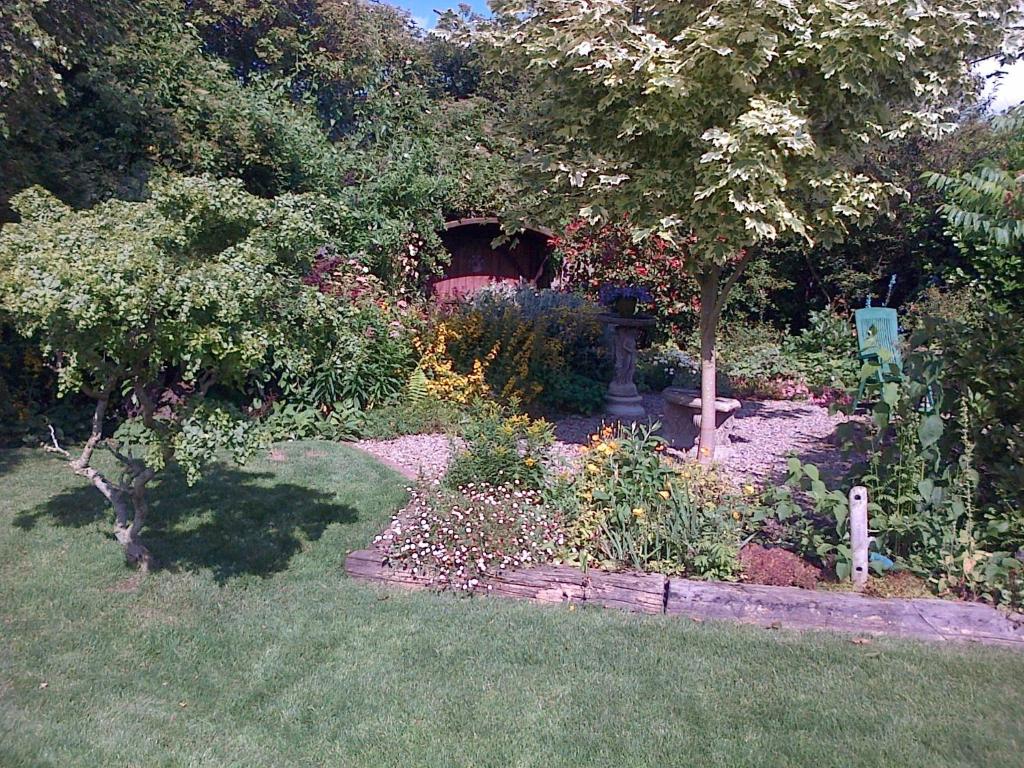 a garden with a tree and some flowers at Pinetree Lodge Druridge Bay in Amble