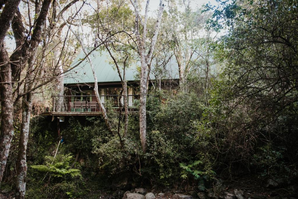 Gallery image of Rockwood Karkloof Forest Lodge & Mountain Cabin in Karkloof Nature Reserve