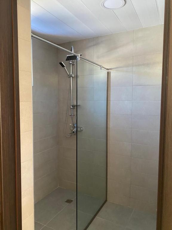 een douche met een glazen deur in een badkamer bij Bakuriani Cozy Villa #4 in Bakuriani