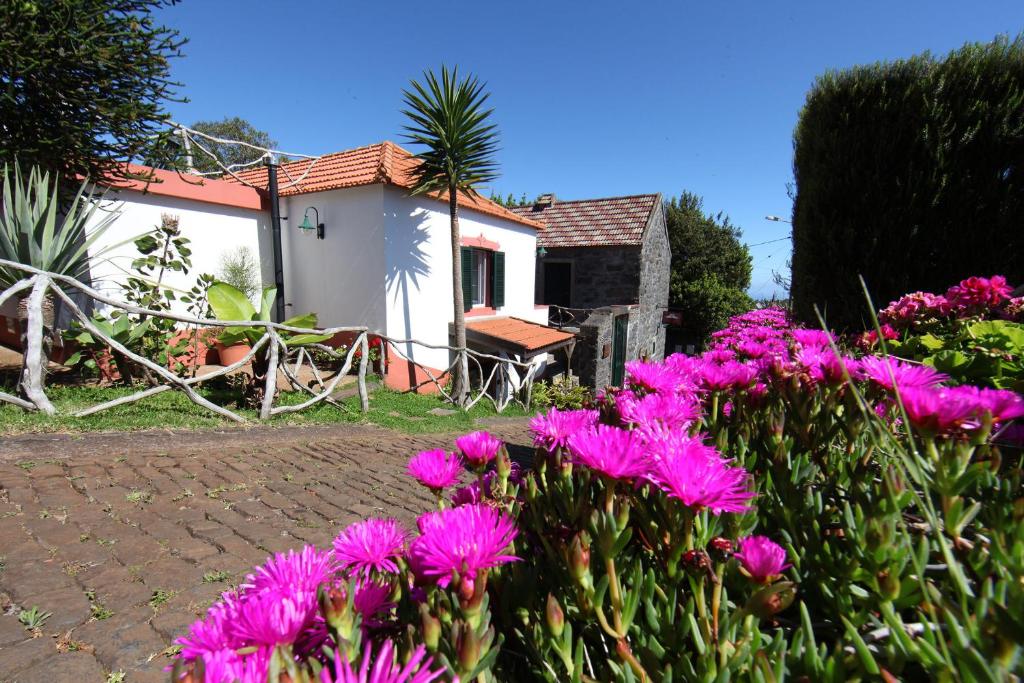 a group of pink flowers in front of a house at Casa do Ribeirinho in Porto Moniz