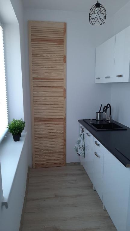 Kuchyňa alebo kuchynka v ubytovaní Stodoła HOME&CHILL