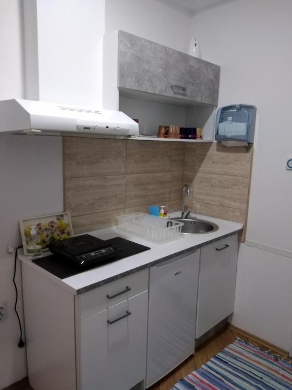 Kuchyň nebo kuchyňský kout v ubytování Apartman Linera