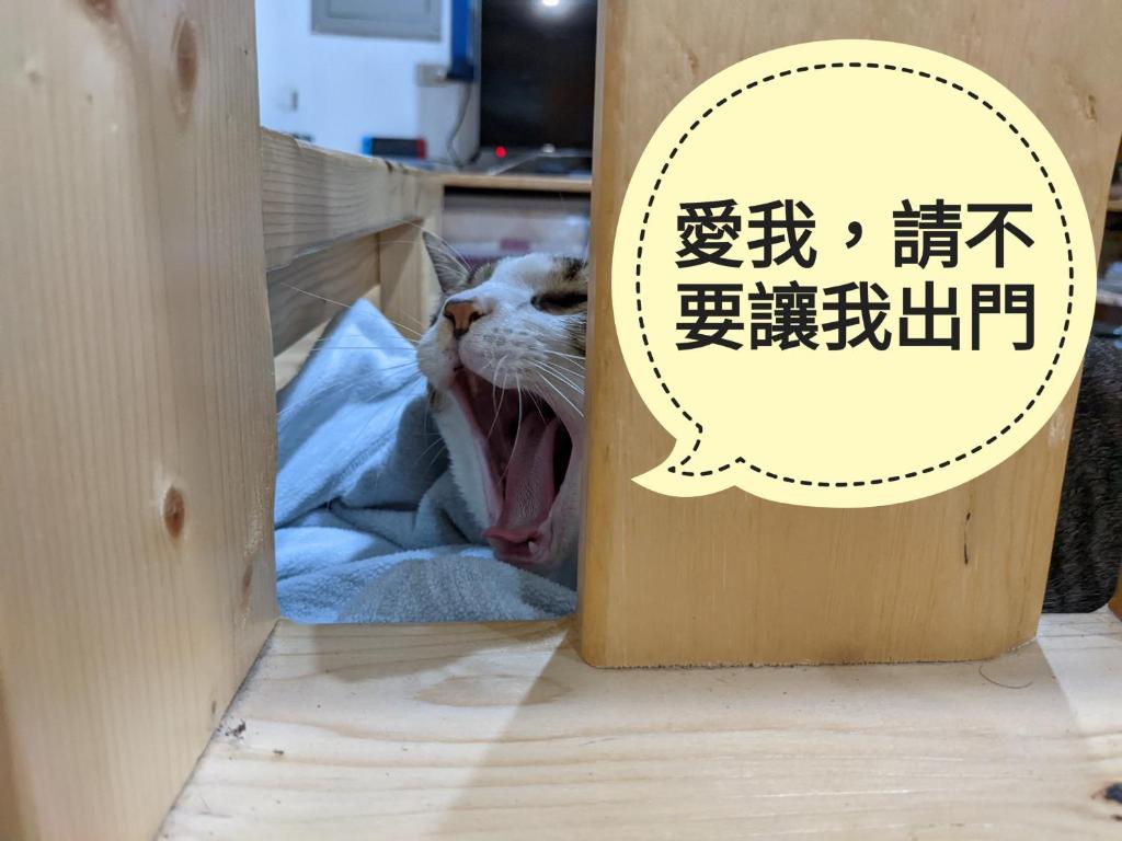 Postelja oz. postelje v sobi nastanitve 鐵騎休息棧
