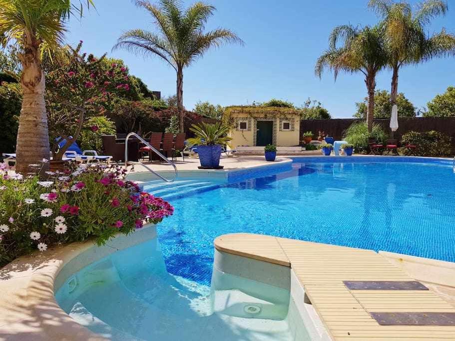 uma grande piscina com água azul e palmeiras em DArens Apartment em Alvor