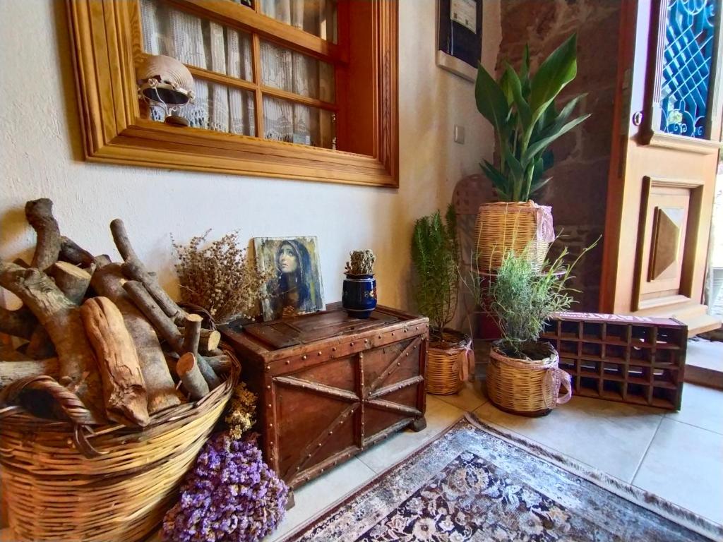 Fotografie z fotogalerie ubytování Fragrante Hotel - Adult Only (+13) v destinaci Ayvalık
