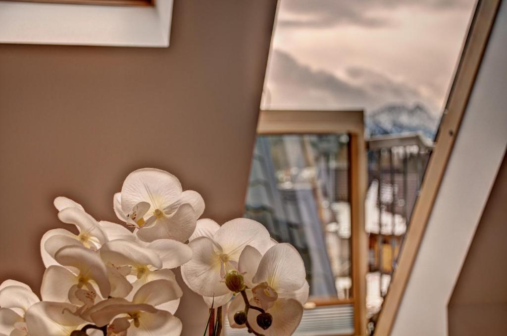 Willa Pod Grapą - 12