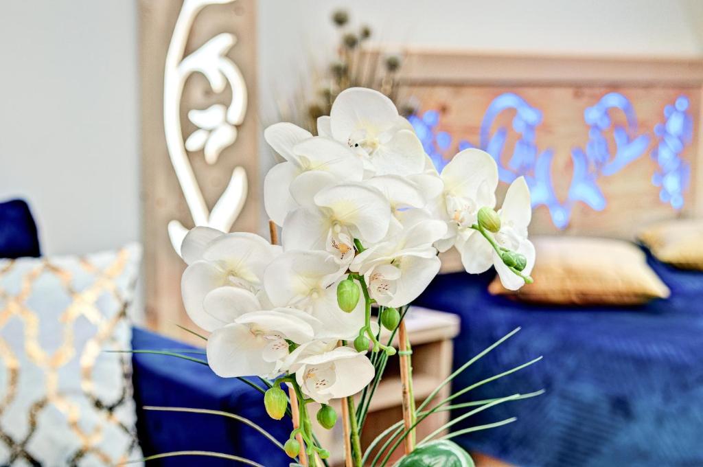 Willa Pod Grapą - 7