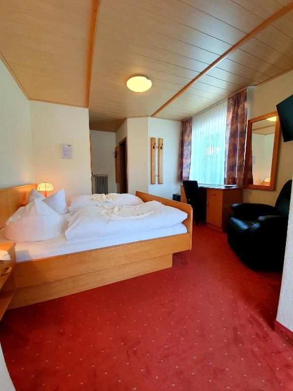 Hotel zum Hirschen - Budget Double Room (not Renovated)