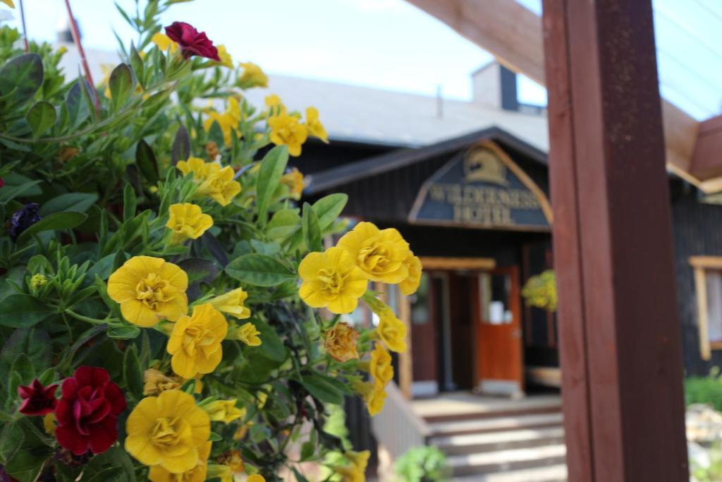 um ramo de flores amarelas e vermelhas em frente a um edifício em Wilderness Hotel Nellim & Igloos em Nellimö