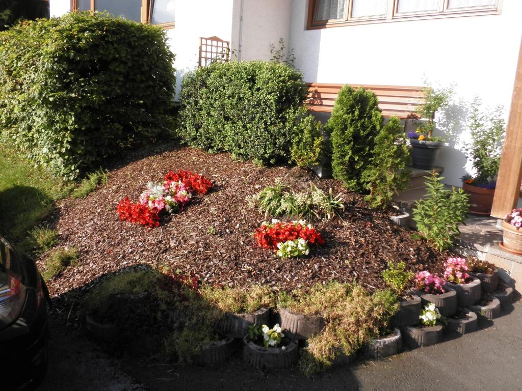 Zahrada ubytování Pension Schweizerhof