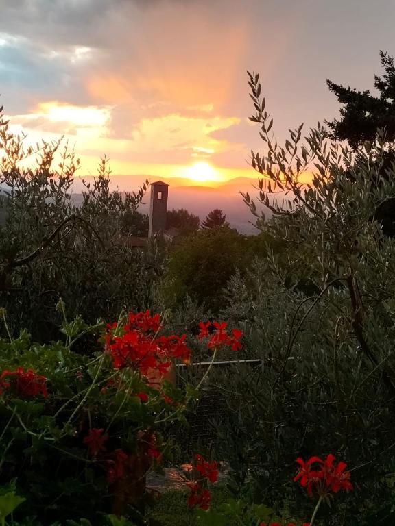 a sunset over a field of flowers with a clock tower at La casetta di campagna Alloggio nel Chianti in Pomino