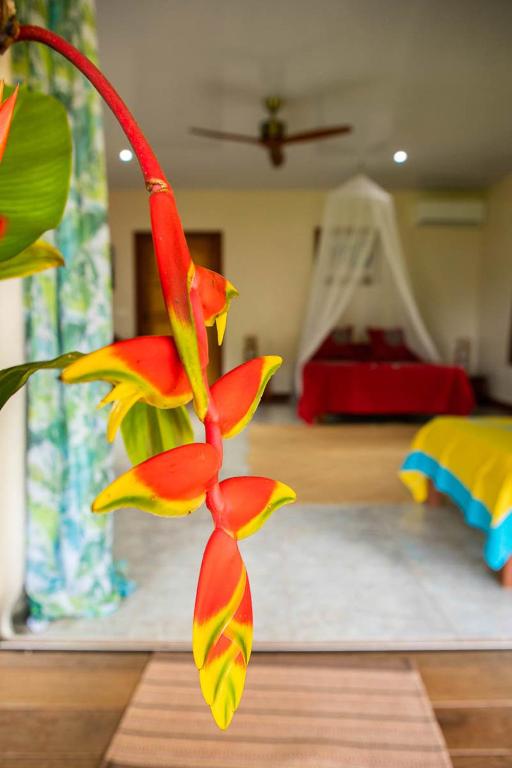 Postel nebo postele na pokoji v ubytování Raiatea sur Mer