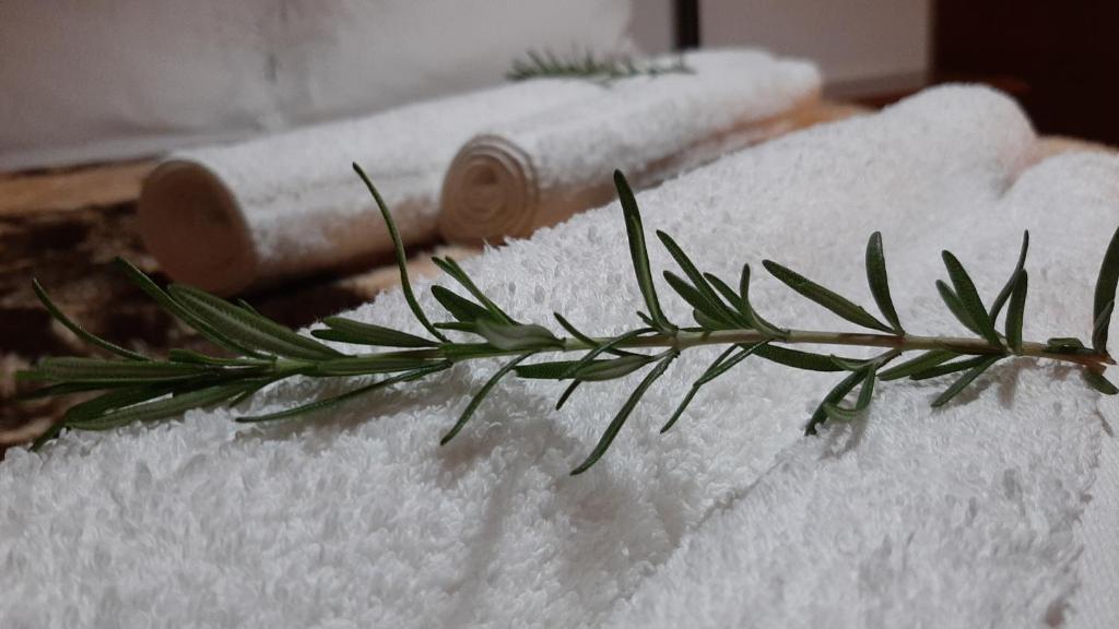 a sprig of grass sitting on a pile of snow at Αρχοντικό - Κέντρο Κάτω Τιθορέας in Káto Tithoréa