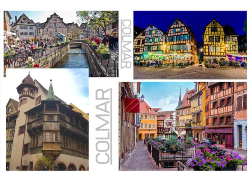 Thann Colmar - 1 chambre - 5 pers - Parking – photo 21
