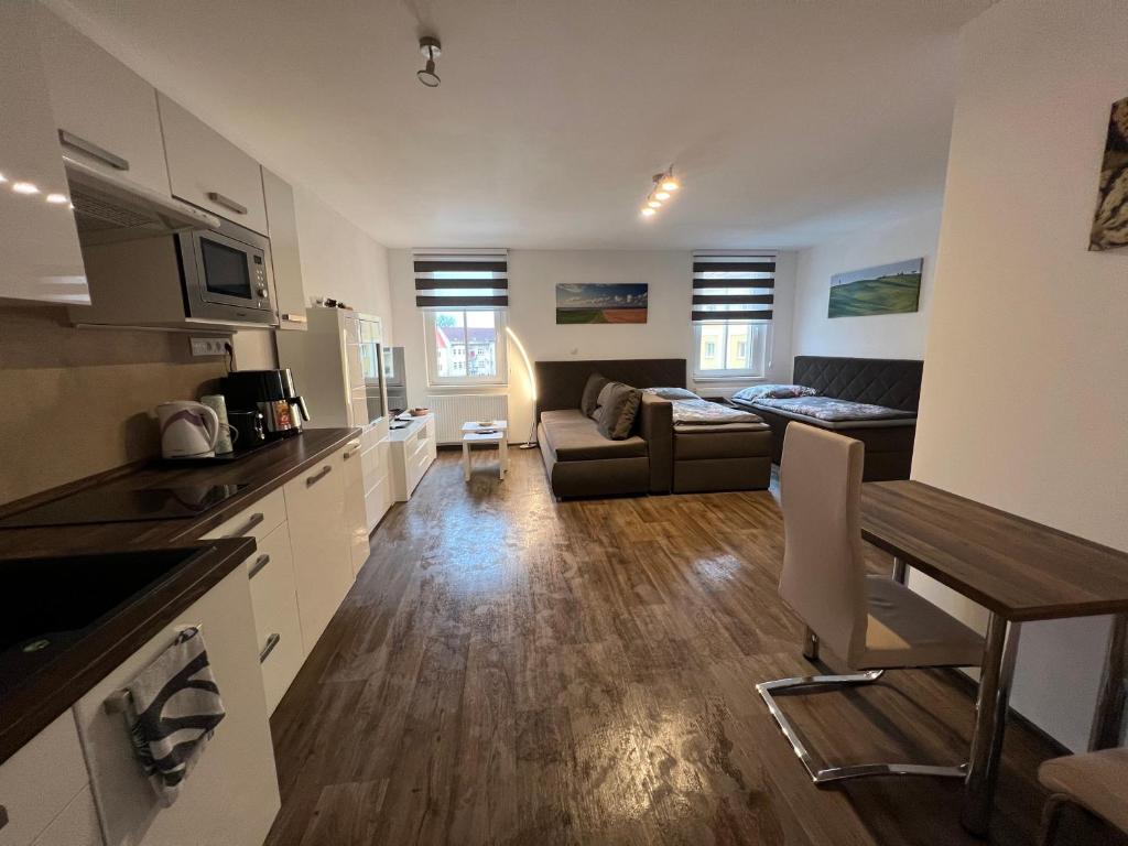 a kitchen and a living room with a couch at Apartman Centrum 403 in Ústí nad Labem