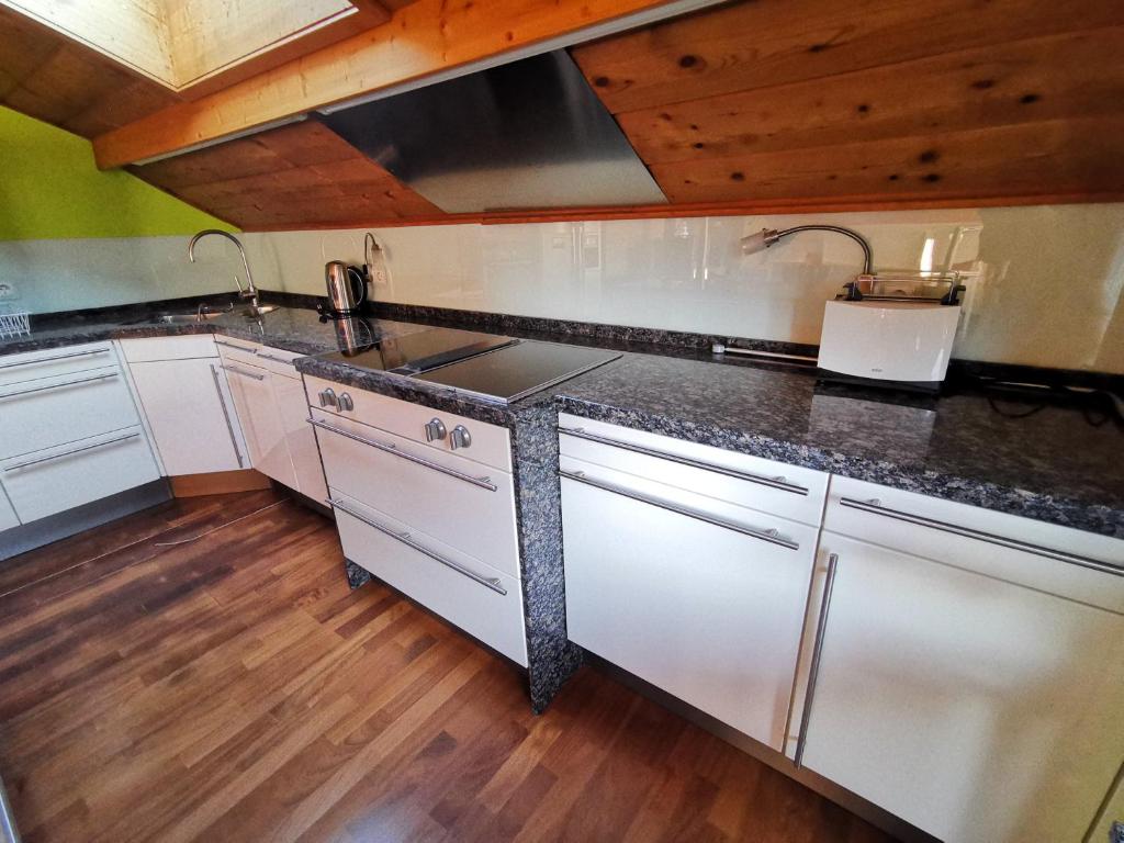 Kuchyň nebo kuchyňský kout v ubytování Hotel Engelhof