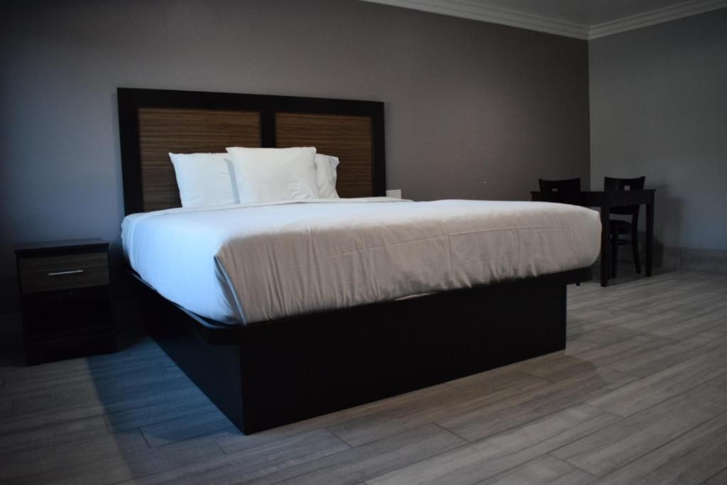 Willow Tree Inn & Suites - Double Room