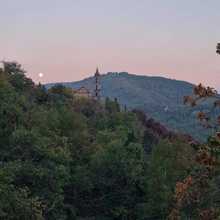 a clock tower on top of a hill with trees at Casa Lia in Ortiporio