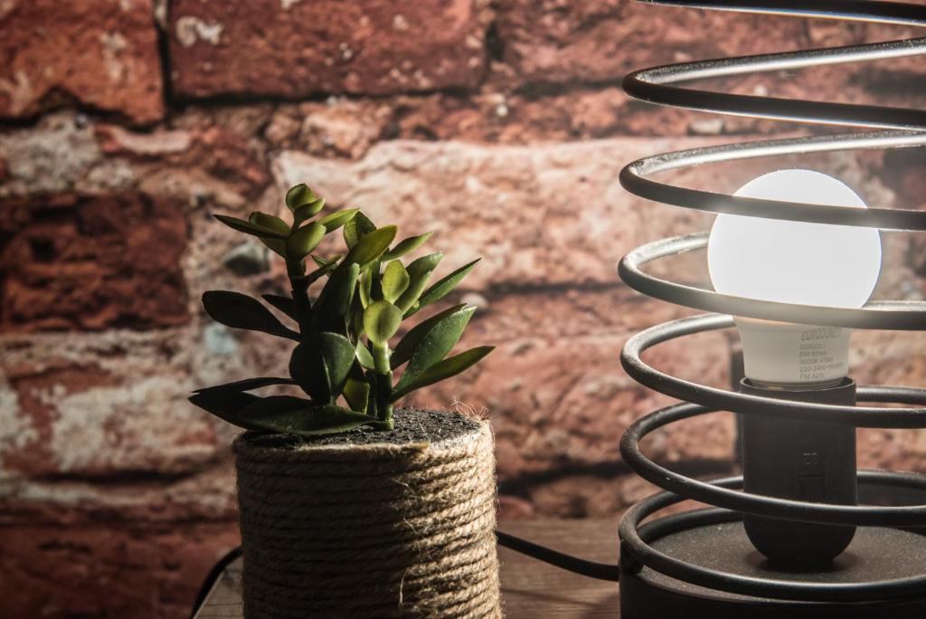 Fotografie z fotogalerie ubytování NOUVEAU - L'Atelier - Centre Ville v destinaci Drulingen