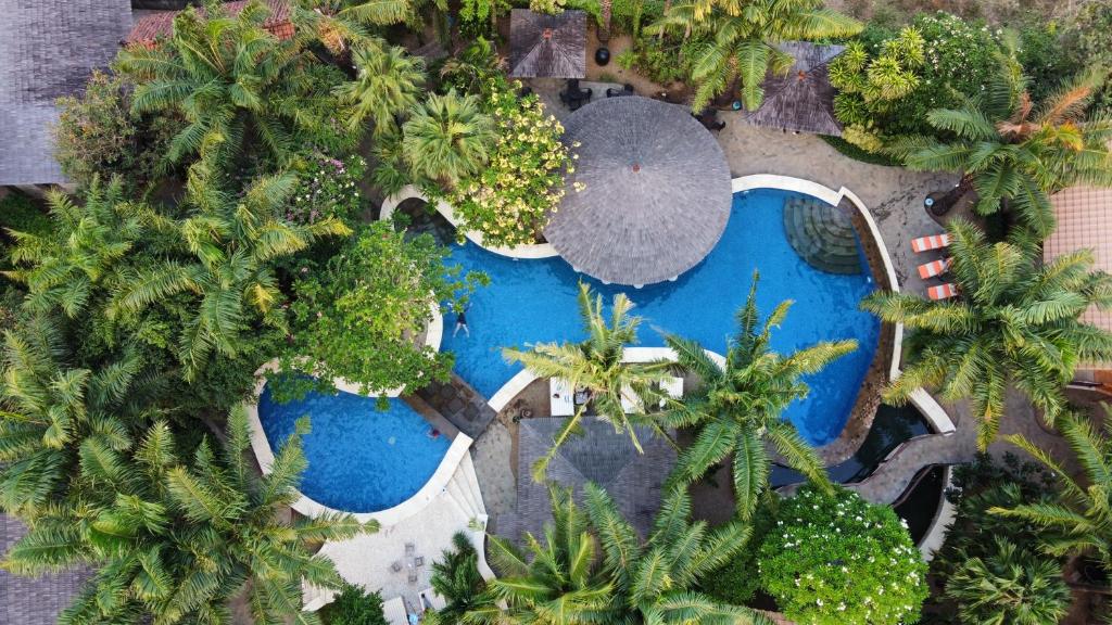 an overhead view of a pool with palm trees at Coconut Lodge Resort in Jepara